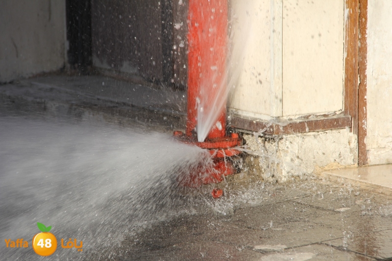 naforea jsadsah (8).JPG